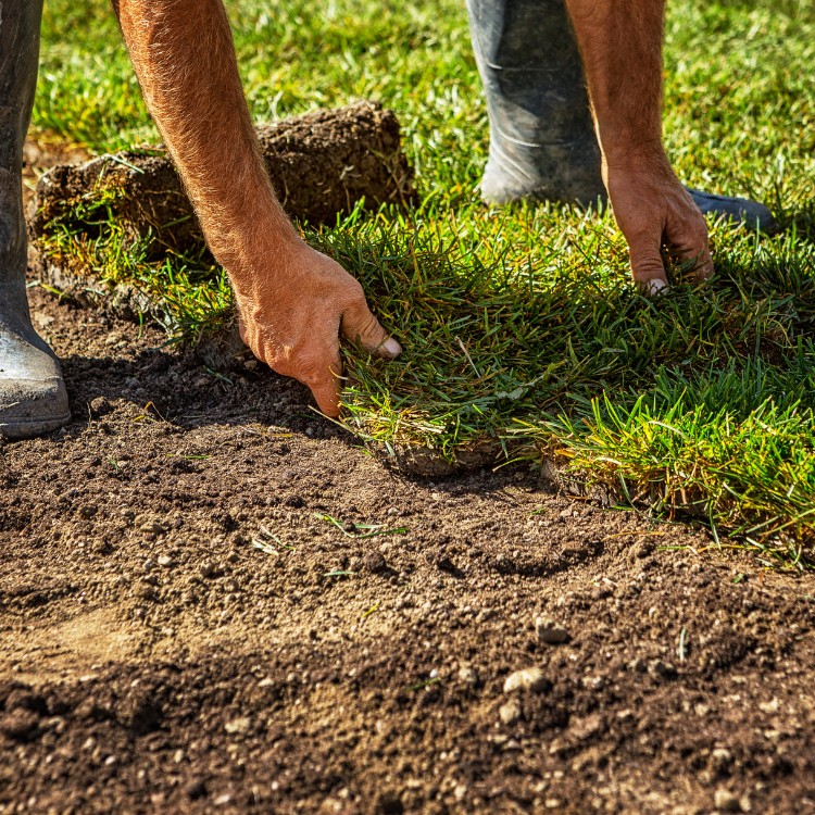 Residential construction in Caddo Mills, TX Residential construction in Caddo Mills, TX
